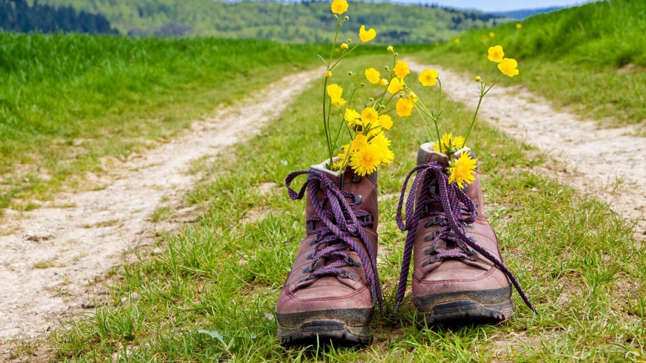 knaus-campingpark-wanderfreunde