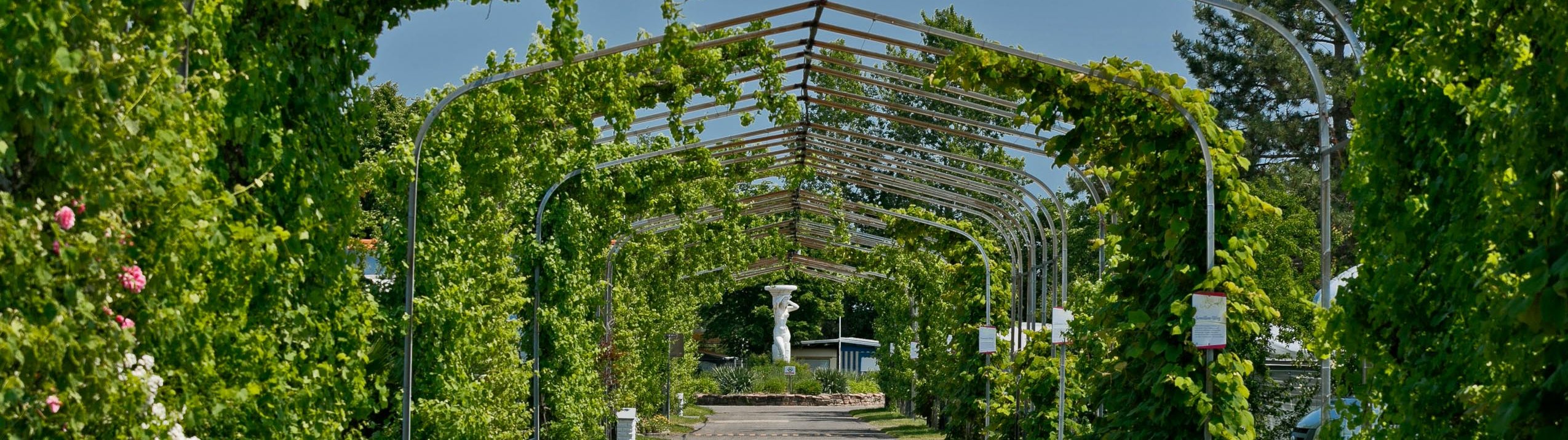 knaus-campingpark-bad-duerkheim-01