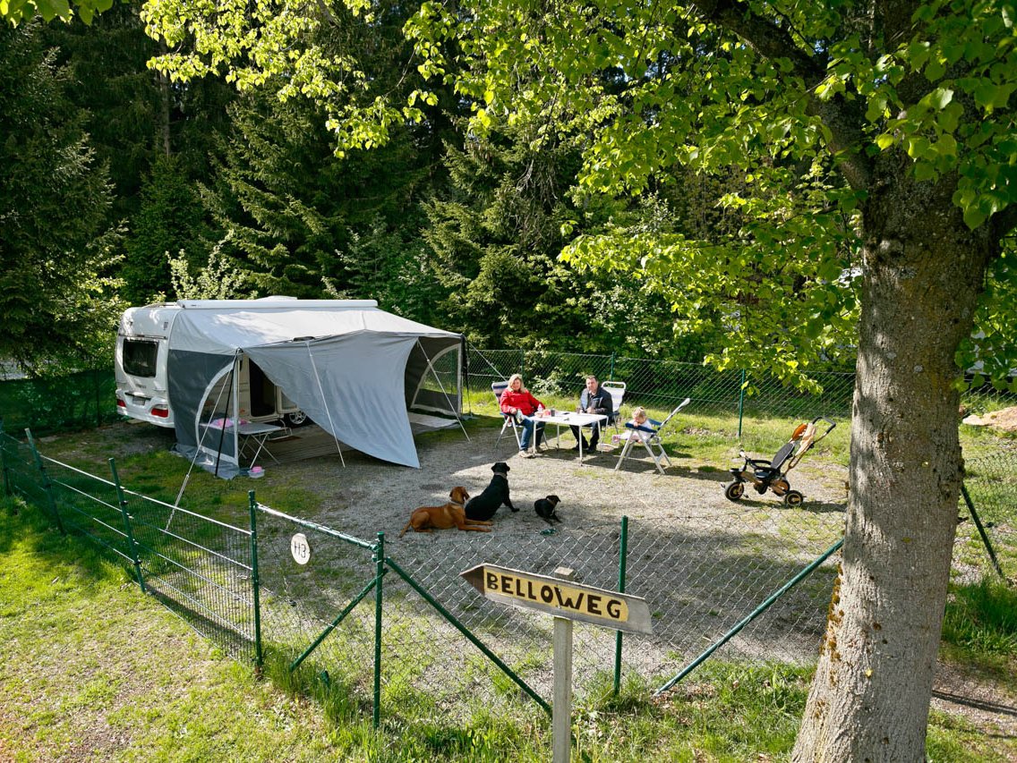 Hundestellplatz