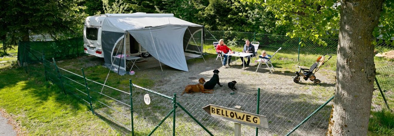 knaus-camping-park-viechtach-eingezaeunte-hunde-stellplaetze-02