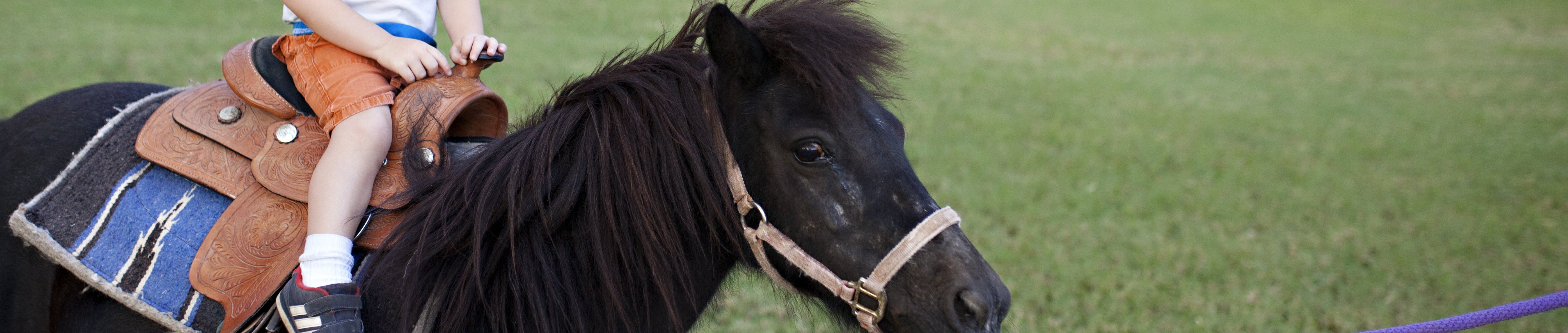 knaus-campingparks-veranstaltungen-ponyreiten