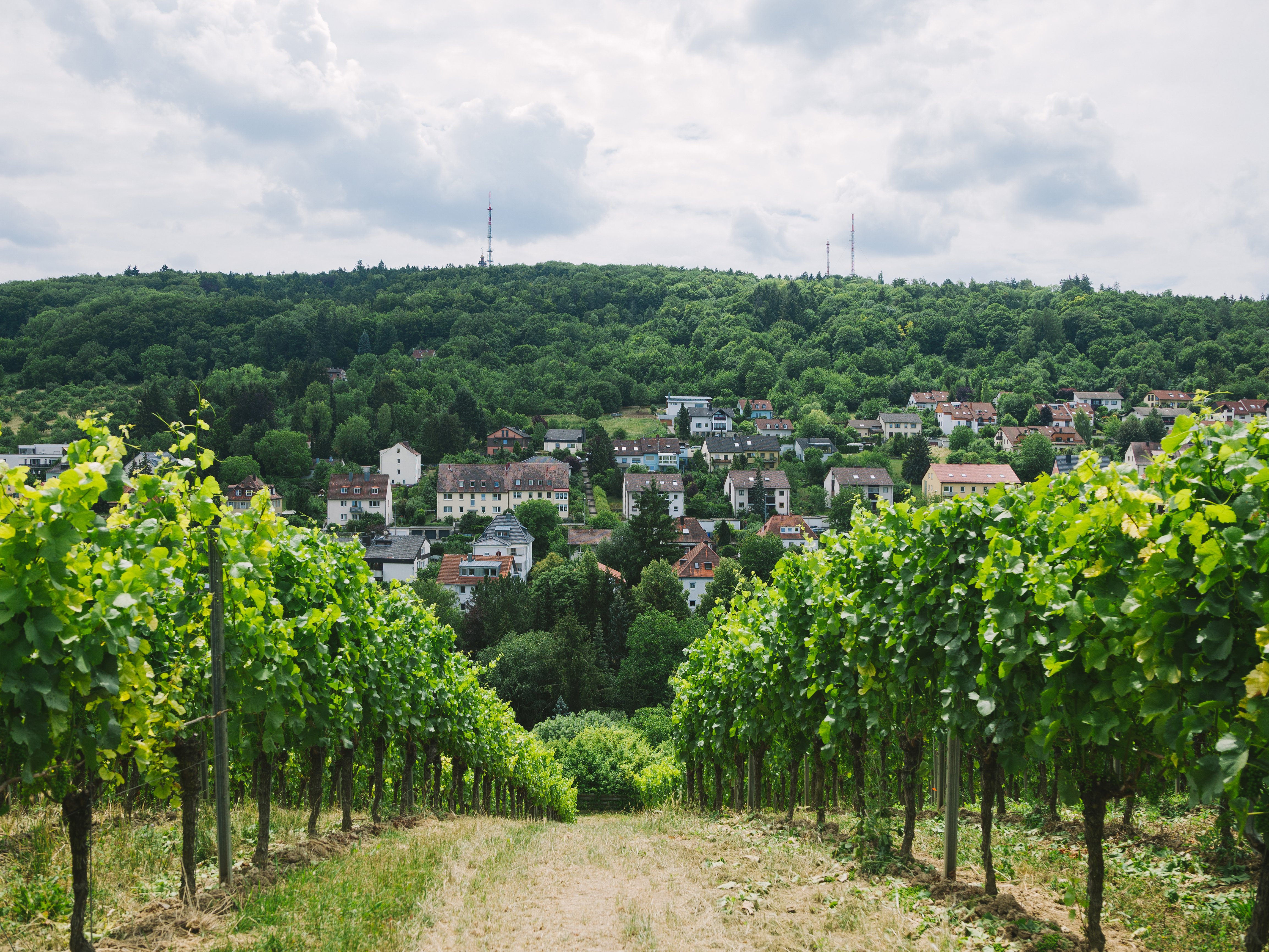 Knaus Campingparks in Deutschland