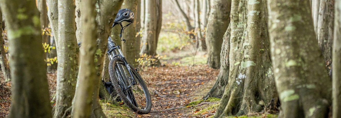 knaus-campingparks-wunschurlaub-mit-dem-fahrrad