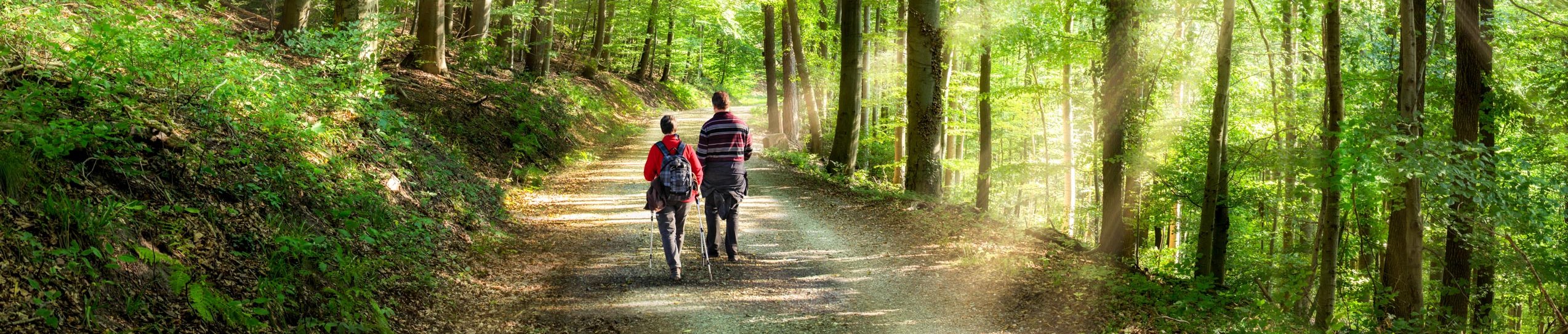 knaus-campingparks-umgebung-wandern