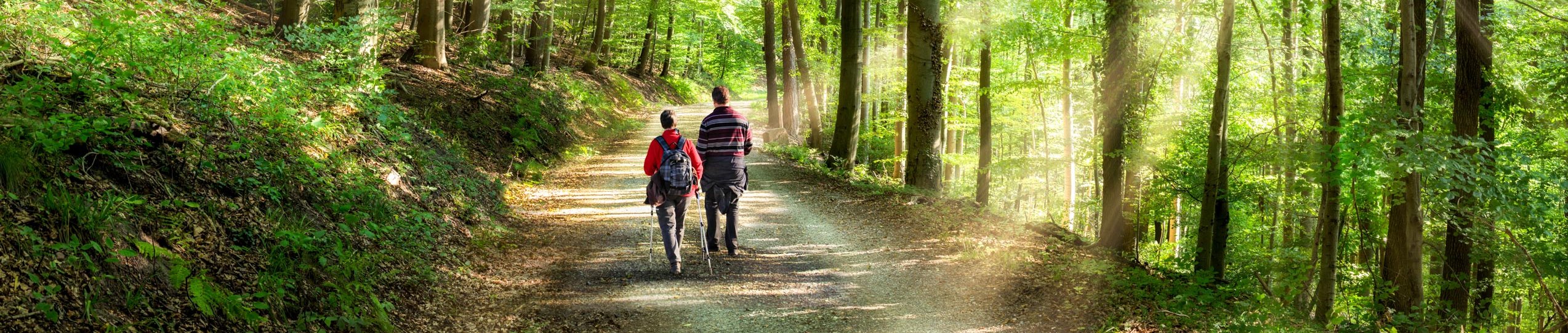 knaus-campingparks-umgebung-wandern