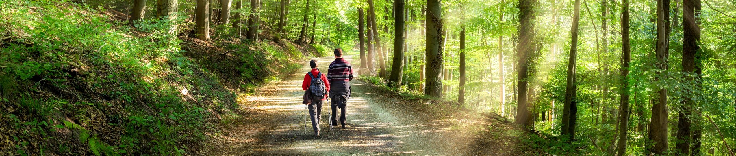 knaus-campingparks-umgebung-wandern