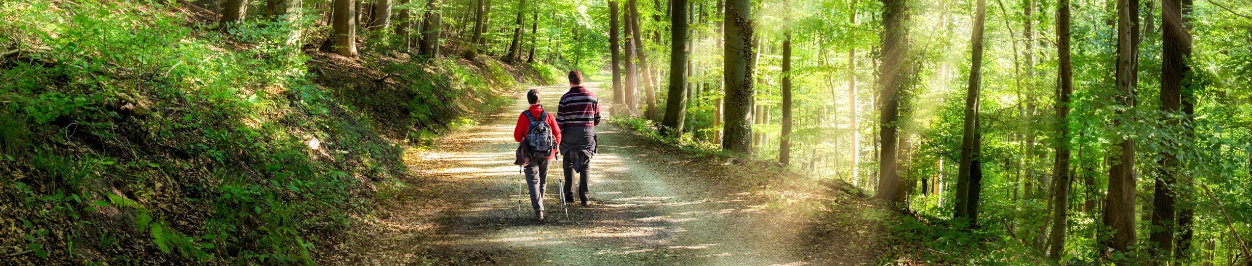 knaus-campingparks-umgebung-wandern