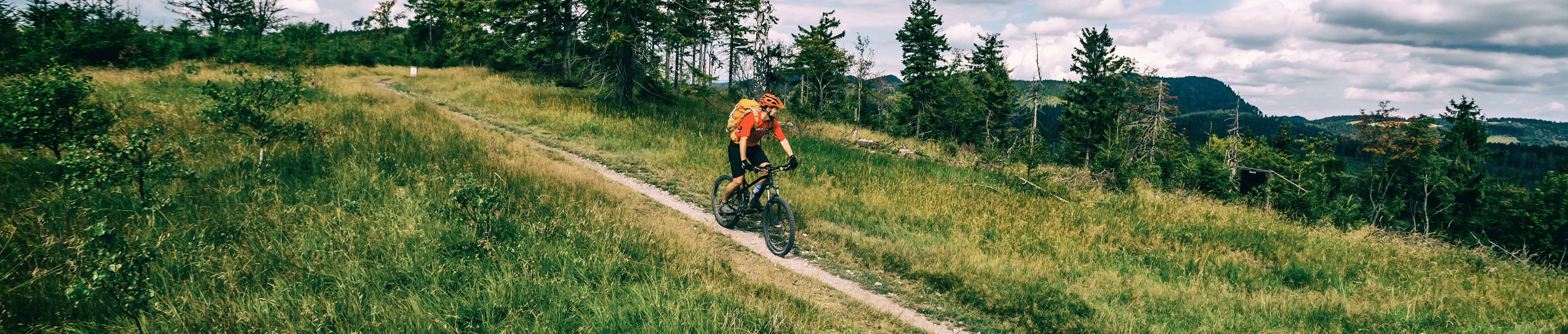 mountain-biking-man-riding-in-woods-and-mountains-2022-02-02-03-49-05-utc